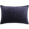 blue velvet cushion