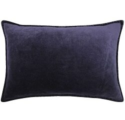 blue velvet cushion